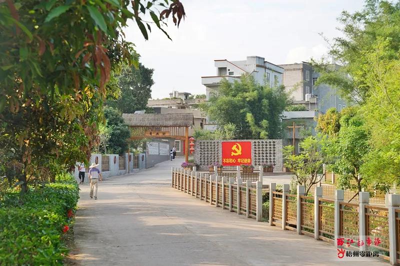 梧州市藤县象棋镇道家村.图源:西江都市报